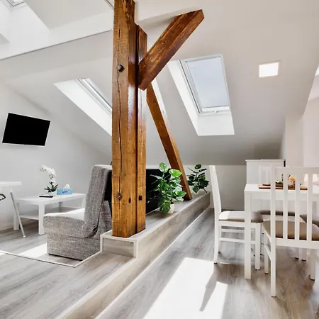 Apartmany Decin 아파트 데친