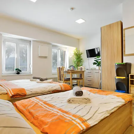 Apartmany Decin * דצ'ין