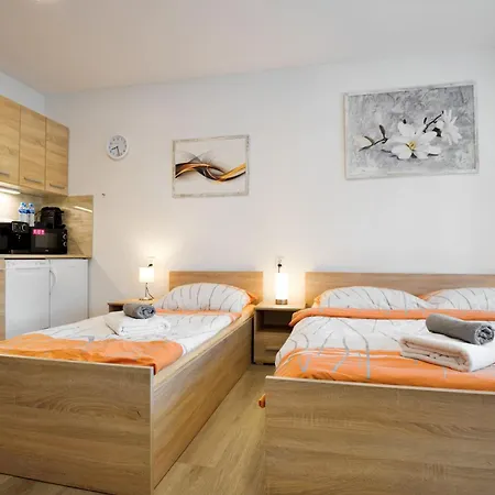 Apartmany Decin דירה *