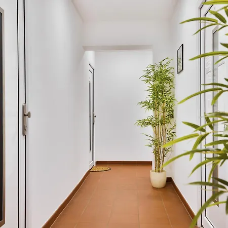 Apartmany Decin Апартаменты Дечин