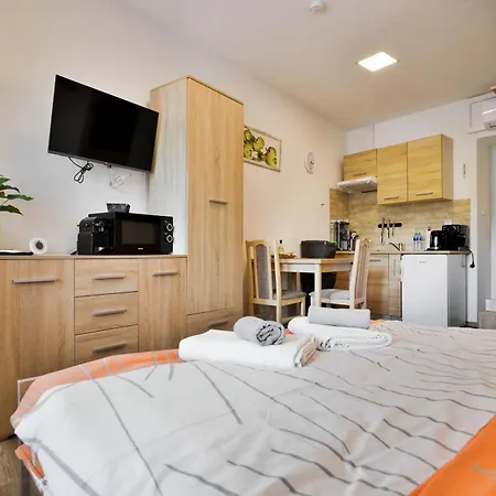 Apartmany Decin דירה *