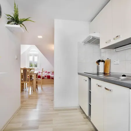 Apartmany Decin * דצ'ין