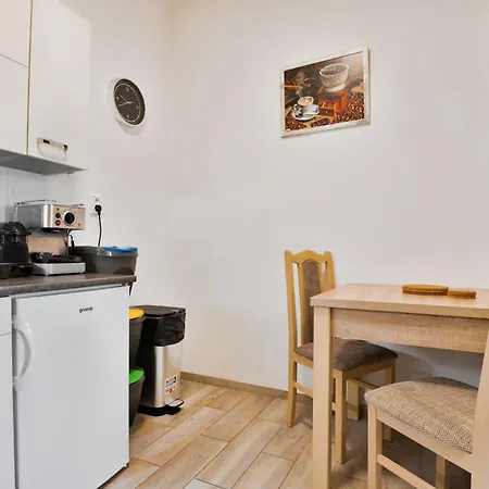 Apartmany Decin 아파트 *