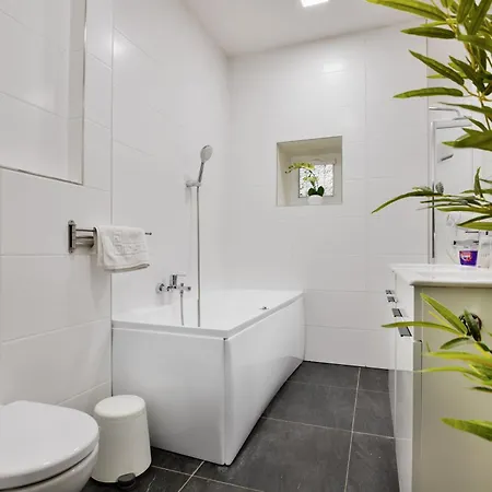 Apartmany Decin * דצ'ין