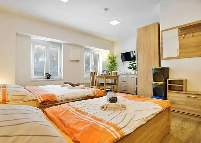 Apartmany Decin * 德辛