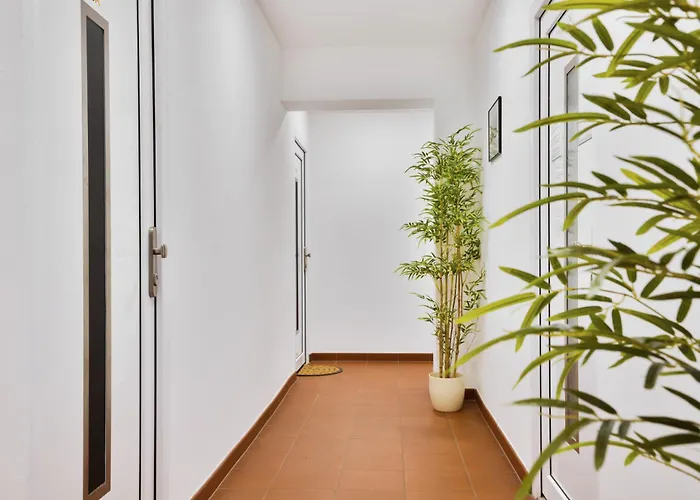 Apartmany Decin 公寓 德辛