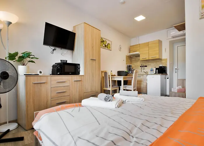Apartmany Decin 公寓 *