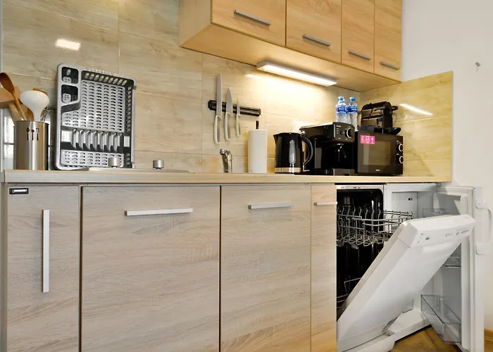 Apartmany Decin 德辛
