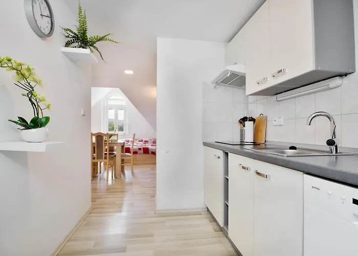 Apartmany Decin * 德辛