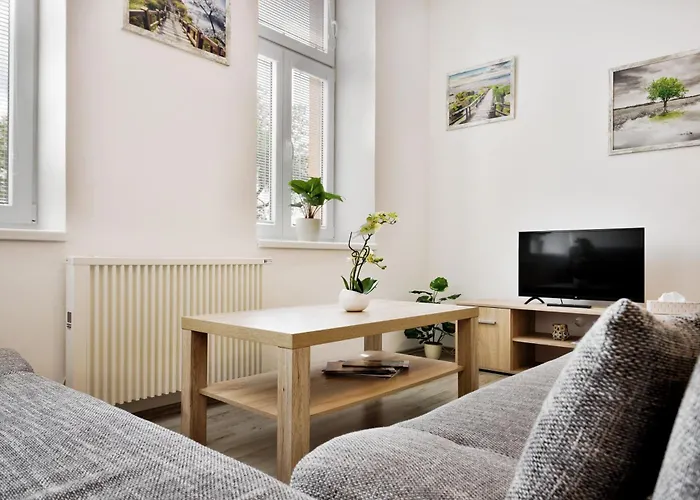 Apartmany Decin 公寓 德辛