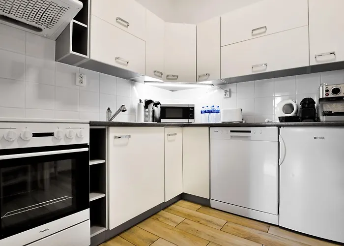 Apartmany Decin 德辛