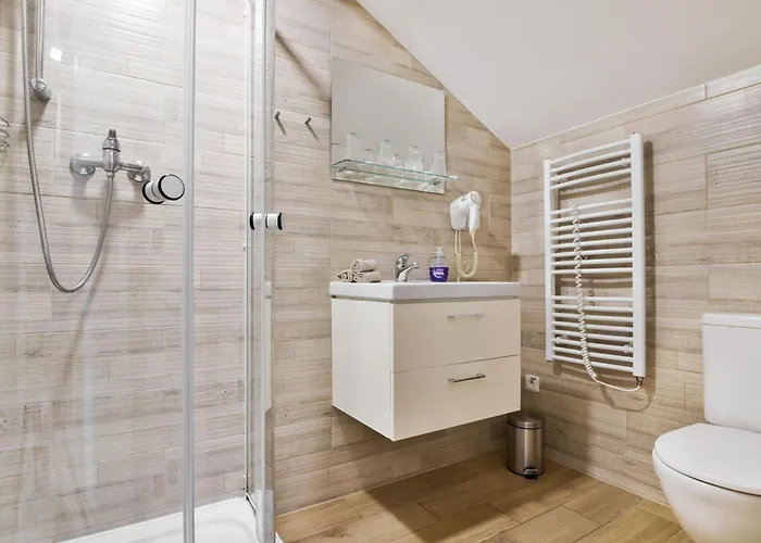 Apartmany Decin * 德辛