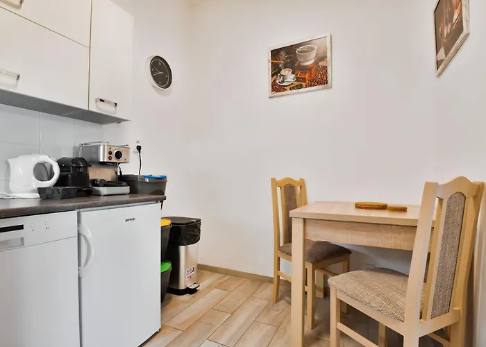 Apartmany Decin 公寓 *