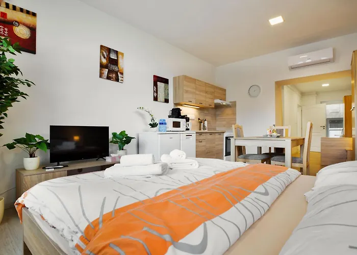 Apartmany Decin 公寓 德辛