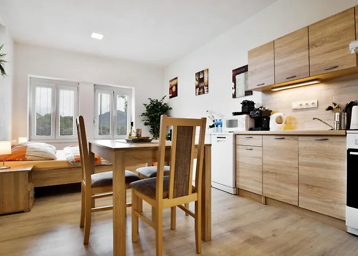 Apartmany Decin 公寓