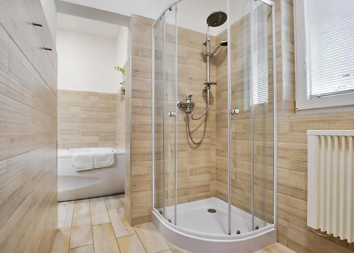公寓 Apartmany Decin 德辛