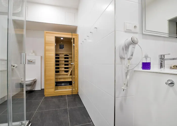 Apartmany Decin 德辛