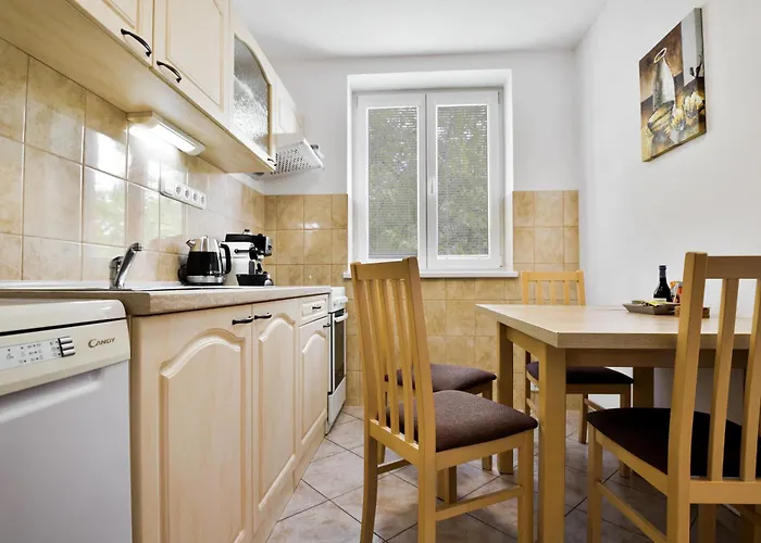 公寓 Apartmany Decin 德辛