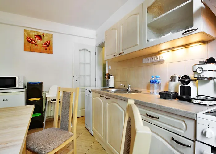 Apartmany Decin 公寓 *